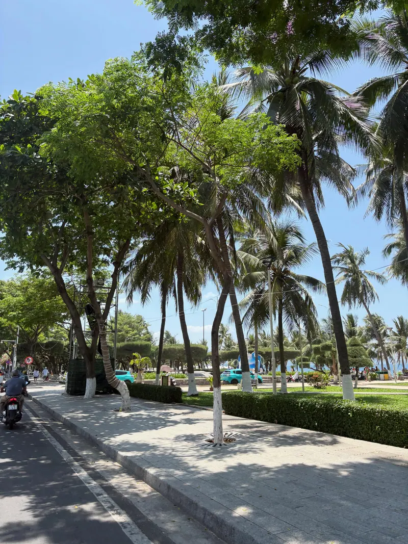A beachfront promenade with palms and a blue sea.